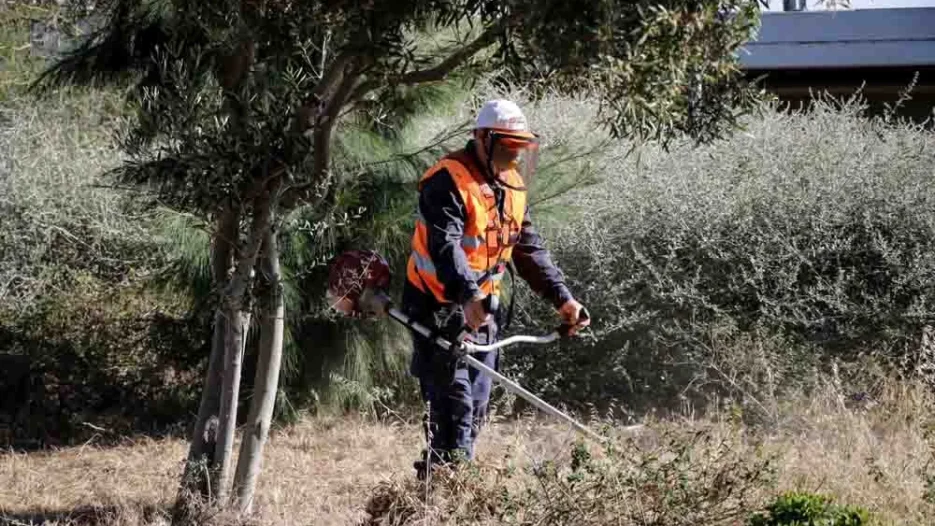 Δήμος Παλαιού Φαλήρου: Υποχρεωτικός καθαρισμός οικοπέδων: Μέτρα πρόληψης πυρκαγιών και αυστηρές κυρώσεις